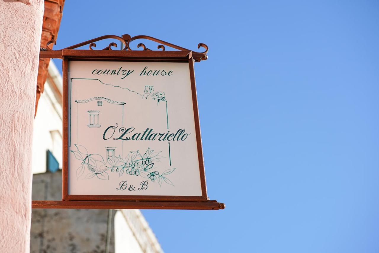 アマルフィ O' Lattariello Bed & Breakfast エクステリア 写真