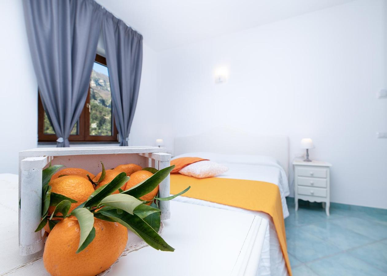 アマルフィ O' Lattariello Bed & Breakfast エクステリア 写真